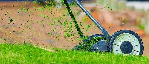 Mowing your lawn helps keep it healthy and maintain color